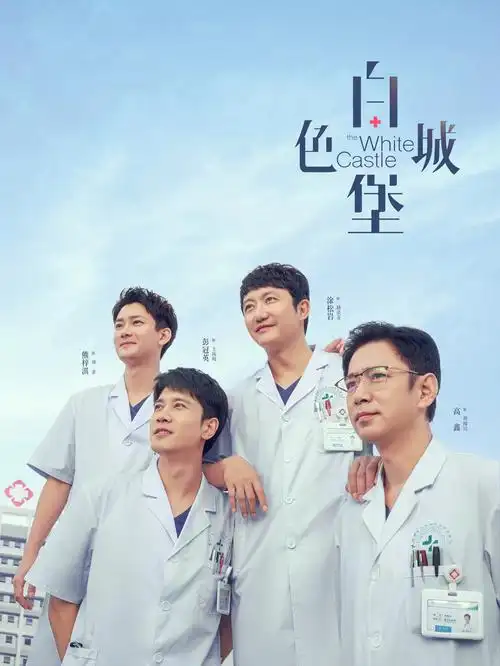 13姨影视 剧集《第七个证人》封面